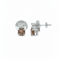 Mocha Radiance Studs – 18K White Gold Rhodium Plated